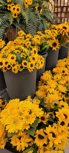 Craft Store «Hobby Lobby», reviews and photos, 7201 Shoppes Dr #101, Melbourne, FL 32940, USA