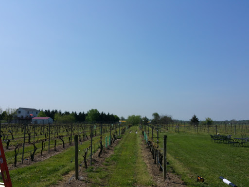 Winery «Auburn Road Vineyard & Winery», reviews and photos, 117 Sharptown, Pilesgrove, NJ 08098, USA