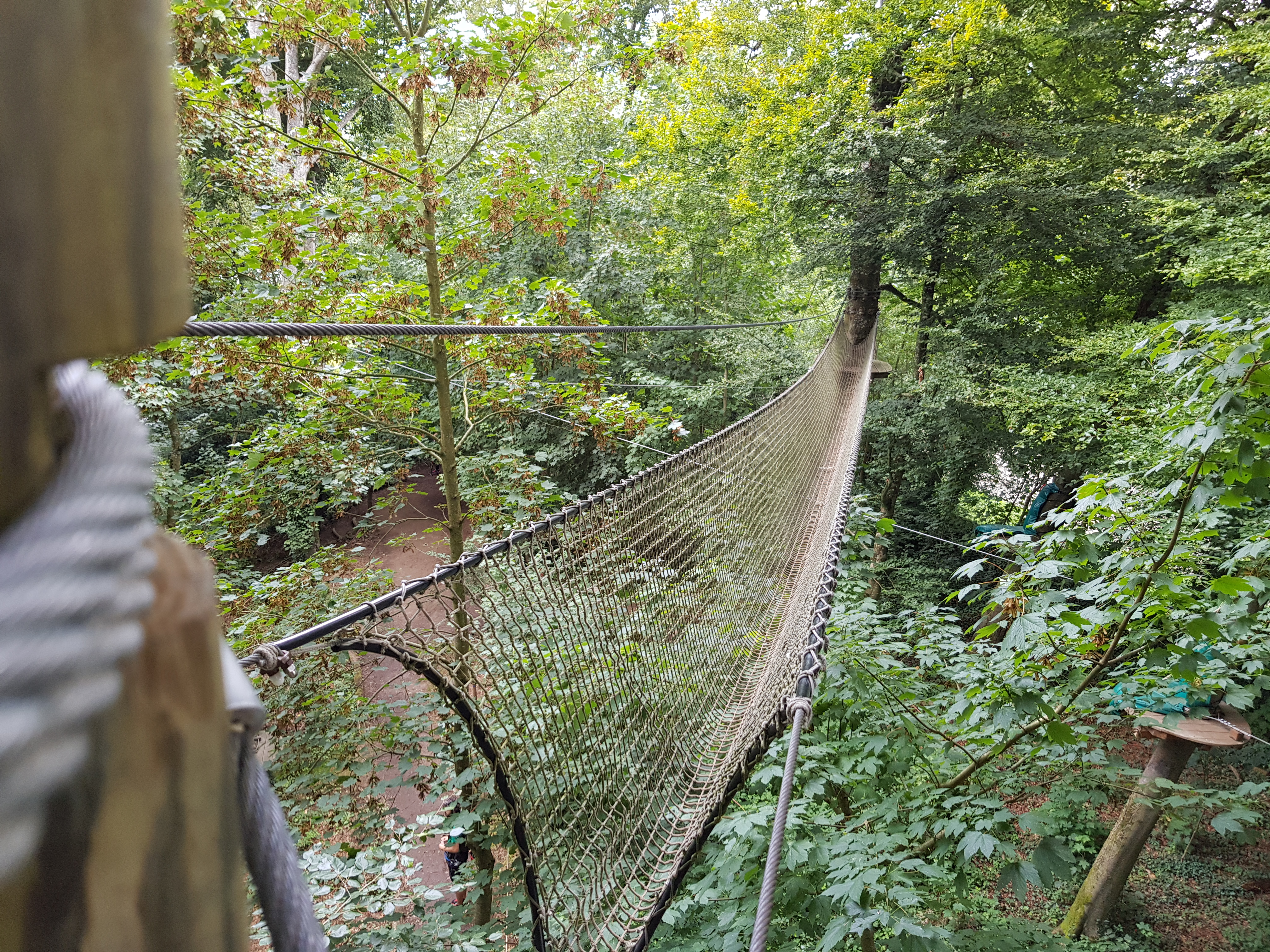 Photo n° 3 de l'avis de Dmitry.u fait le 19/08/2019 à 17:41