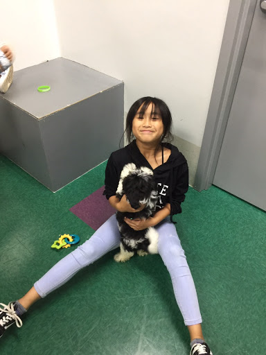 Pet Store «Petland Fairfax», reviews and photos, 9404 Main Street, Fairfax, VA 22031, USA