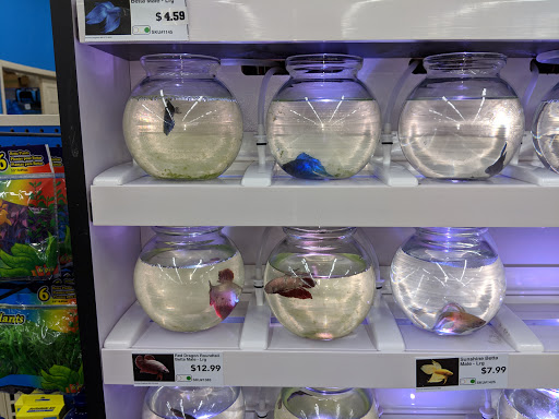 Pet Store «Pet Supermarket», reviews and photos, 9798 Glades Rd, Boca Raton, FL 33434, USA