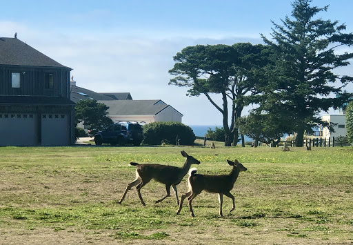 Coffee Shop «Bandon Coffee Cafe», reviews and photos, 365 2nd St SE, Bandon, OR 97411, USA