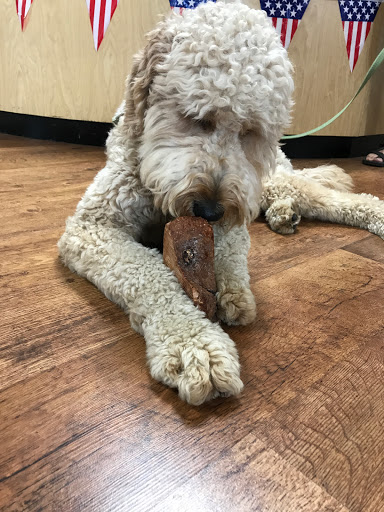 Pet Store «Hearty Pet Retail Store», reviews and photos, 19918 Jefferson Blvd, Hagerstown, MD 21740, USA