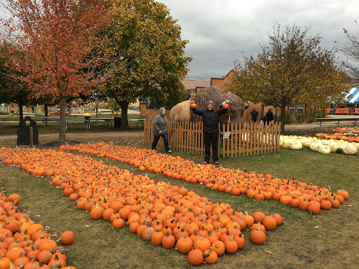 Produce Market «Didier Farms», reviews and photos, 16678 Aptakisic Rd, Lincolnshire, IL 60069, USA