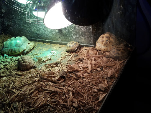 Pet Store «Tanks Pet Supply», reviews and photos, 628 S Main St, Princeton, IL 61356, USA