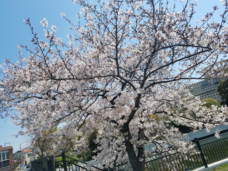 下田公園