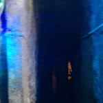 Photo n°1 de l'avis de Gabriella.a fait le 29/06/2019 à 18:02 sur le  Grotta Gino à Moncalieri