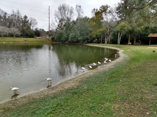 Movie Theater «Regal Cinemas Hollywood 16 & IMAX - Ocala», reviews and photos, 2801 SW 27th Ave, Ocala, FL 34471, USA