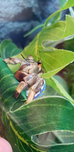 Pet Supply Store «Petco Animal Supplies», reviews and photos, 891 NE D St, Grants Pass, OR 97526, USA