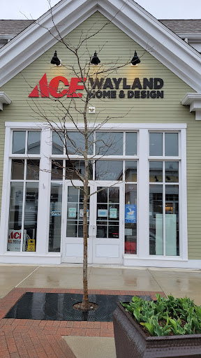 Paint Store «Ace - Wayland Home and Design», reviews and photos, 70 Andrew Ave, Wayland, MA 01778, USA
