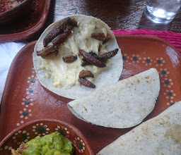 Los Amores de Frida photo