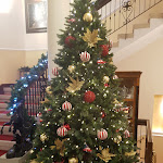 Photo n°4 de l'avis de welcome!. fait le 30/11/2018 à 07:40 sur le  Hotel Majestic Toscanelli Padua à Padua