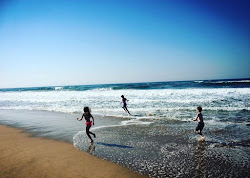 Illovo Beach'in fotoğrafı vahşi alan