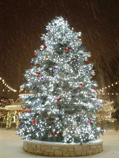 Museum «Bloomingdale Park District Museum», reviews and photos, 108 S Bloomingdale Rd, Bloomingdale, IL 60108, USA