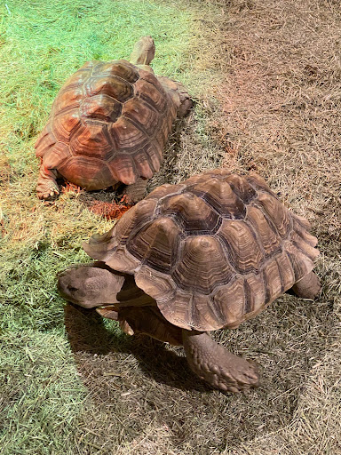 Learning Center «Arizona Science Center», reviews and photos, 600 E Washington St, Phoenix, AZ 85004, USA