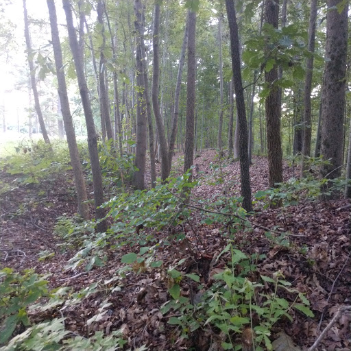 National Park «Petersburg National Battlefield Park Trailhead», reviews and photos, 5001 Siege Rd, Petersburg, VA 23804, USA