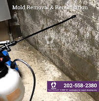 Feet Up Carpet Cleaning DC - Photo 7 - Car repair in , Washington