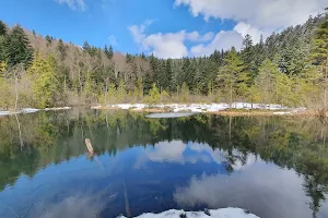 Crane Lake or Dead Lake image