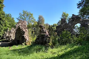 Helme Order Castle Ruins image
