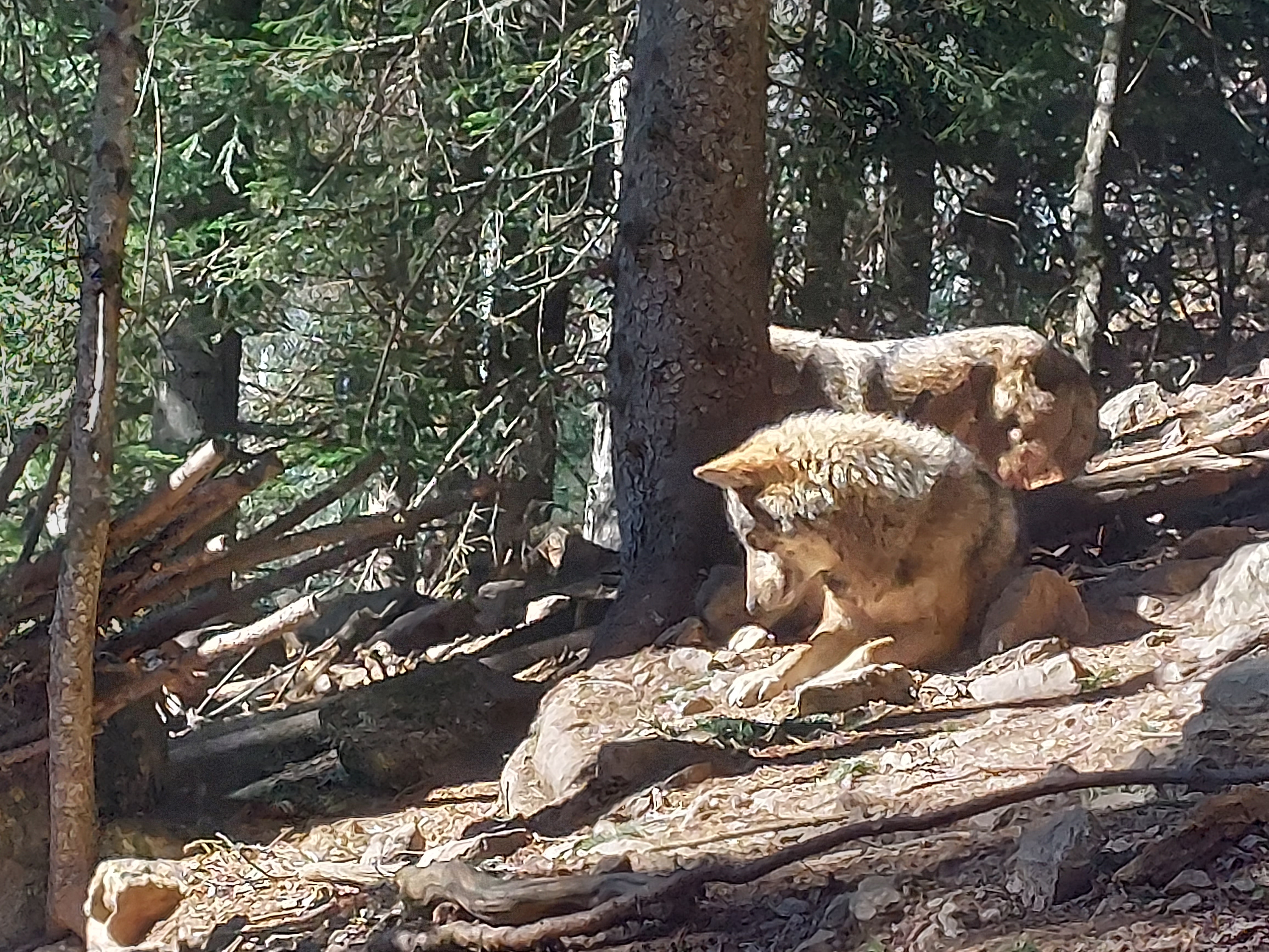 Photo n° 1 de l'avis de maeva.u fait le 13/03/2023 à 11:53