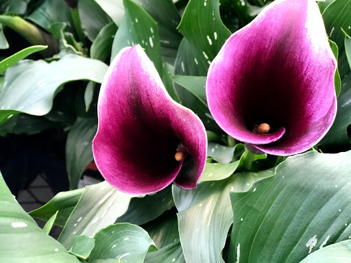 Home Improvement Store «The Home Depot», reviews and photos, 1595 East Frontage Rd, Park City, UT 84098, USA