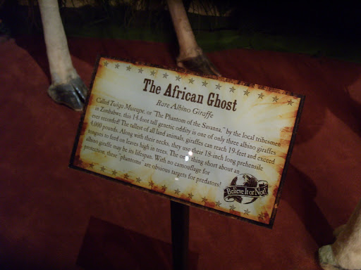 Wax Museum «Madame Tussauds New York», reviews and photos, 234 W 42nd St, New York, NY 10036, USA