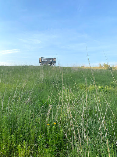 Nature Preserve «Volo Bog», reviews and photos, 28478 W Brandenburg Rd, Ingleside, IL 60041, USA