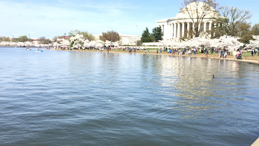 Monument «Thomas Jefferson Memorial», reviews and photos, 701 E Basin Dr SW, Washington, DC 20242, USA