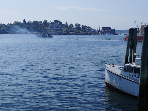 Whale Watching Tour Agency «7 Seas Whale Watch», reviews and photos, 63 Rogers St, Gloucester, MA 01930, USA