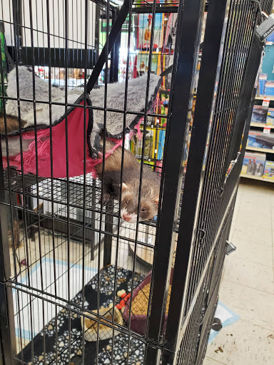 Pet Supply Store «Pet Supplies Plus», reviews and photos, 2155 Delaware Ave, Buffalo, NY 14216, USA