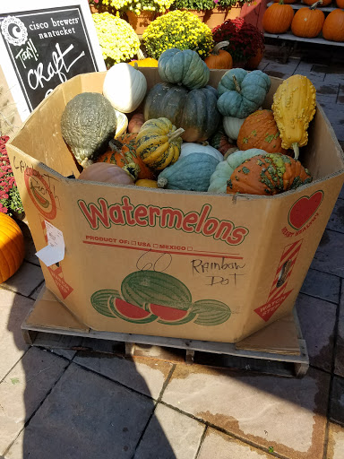 Gourmet Grocery Store «Fruit Center Marketplace», reviews and photos, 10 Bassett St, Milton, MA 02186, USA