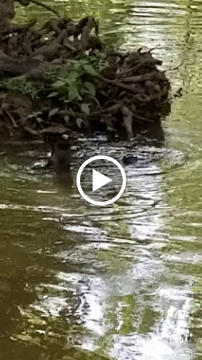 Country Club «Greenhills Country Club», reviews and photos, Old Rte 56, Ravenswood, WV 26164, USA