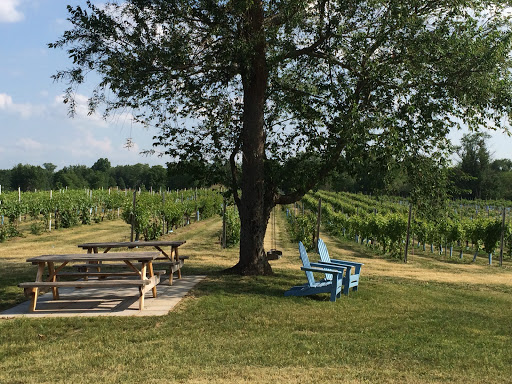 Winery «Clermont Vineyards & Winery», reviews and photos, 241 County Rte 6, Germantown, NY 12526, USA