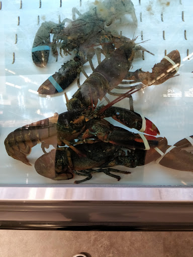 Supermarket «Stop & Shop», reviews and photos, 158 NY-25A, Setauket- East Setauket, NY 11733, USA