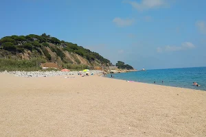 Platja El Morer image