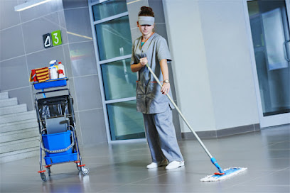 Golden Shine Cleaning Services - After & Post Construction Cleaning Richmond Hill ON