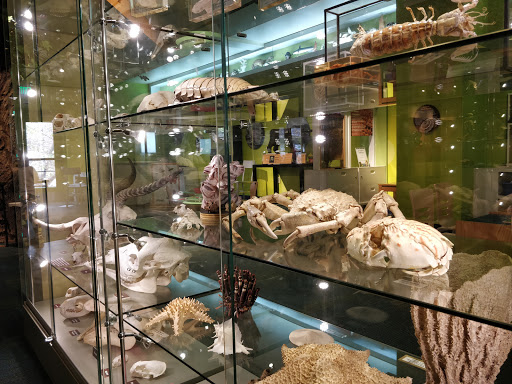 Museum «North Museum of Nature and Science», reviews and photos, 400 College Ave, Lancaster, PA 17603, USA