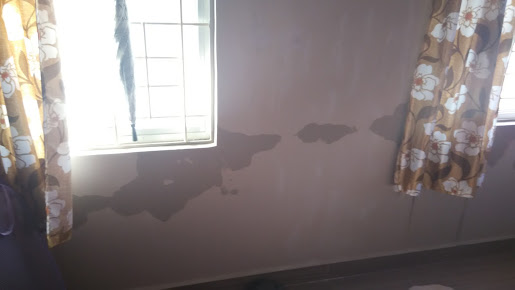 Google Maps image 32