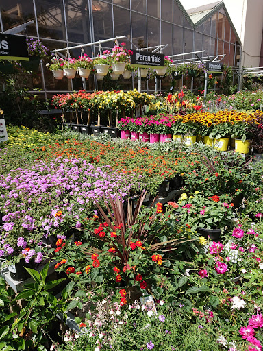 Home Improvement Store «The Home Depot», reviews and photos, 1001 N El Camino Real, Encinitas, CA 92024, USA