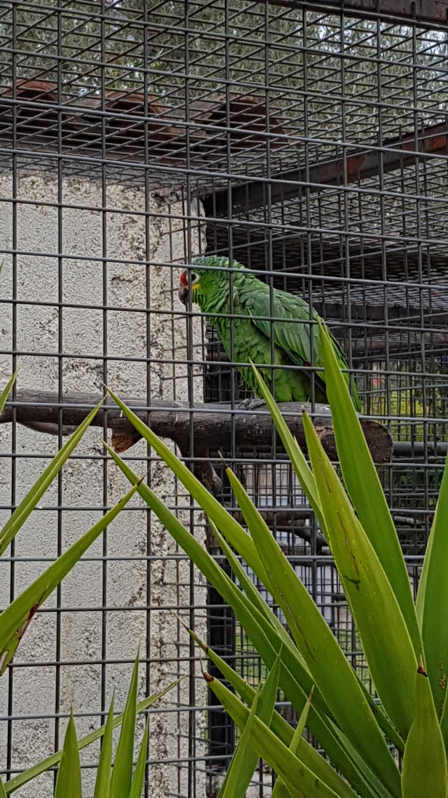 Photo n° 49 de l'avis de Isabelle.e fait le 16/04/2019 à 22:21
