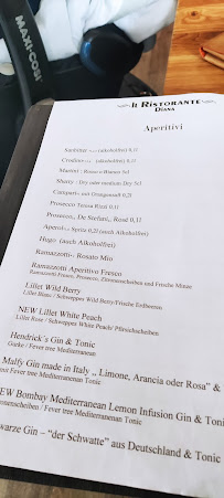 Carte du Il Ristorante Diana à Bad Schwartau