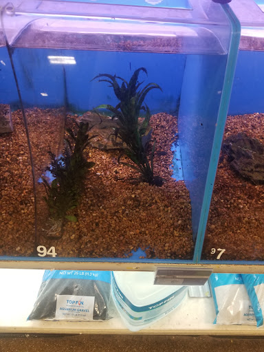 Pet Supply Store «PetSmart», reviews and photos, 2458 Central Park Ave, Yonkers, NY 10710, USA