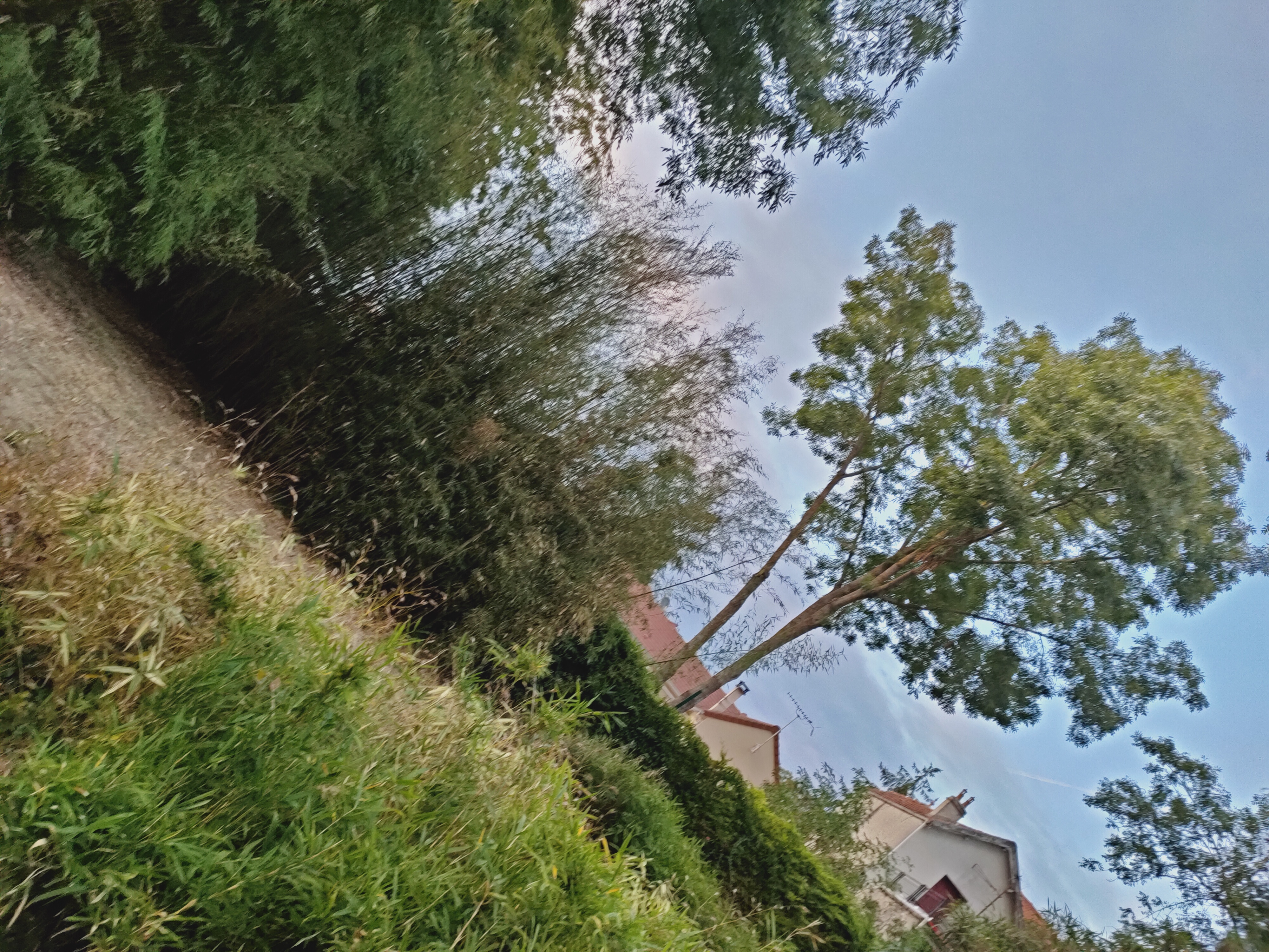 Photo n° 10 de l'avis de jani.a fait le 03/09/2020 à 18:32