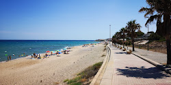 Foto di Spiaggia di Almadrava zona selvaggia