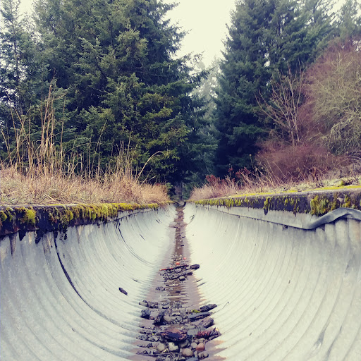 Park «Powell Butte Nature Park», reviews and photos, 16160 SE Powell Blvd, Portland, OR 97236, USA