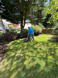 Express Tree Services