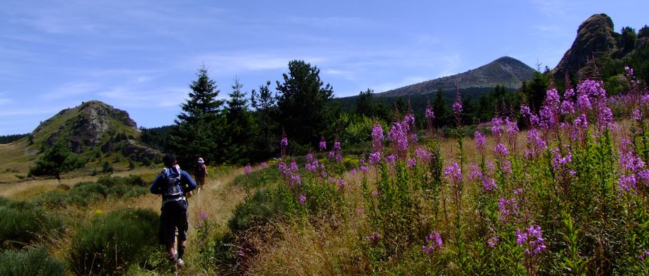 Guide Nature Randonnée à Les Estables (Haute-Loire 43)