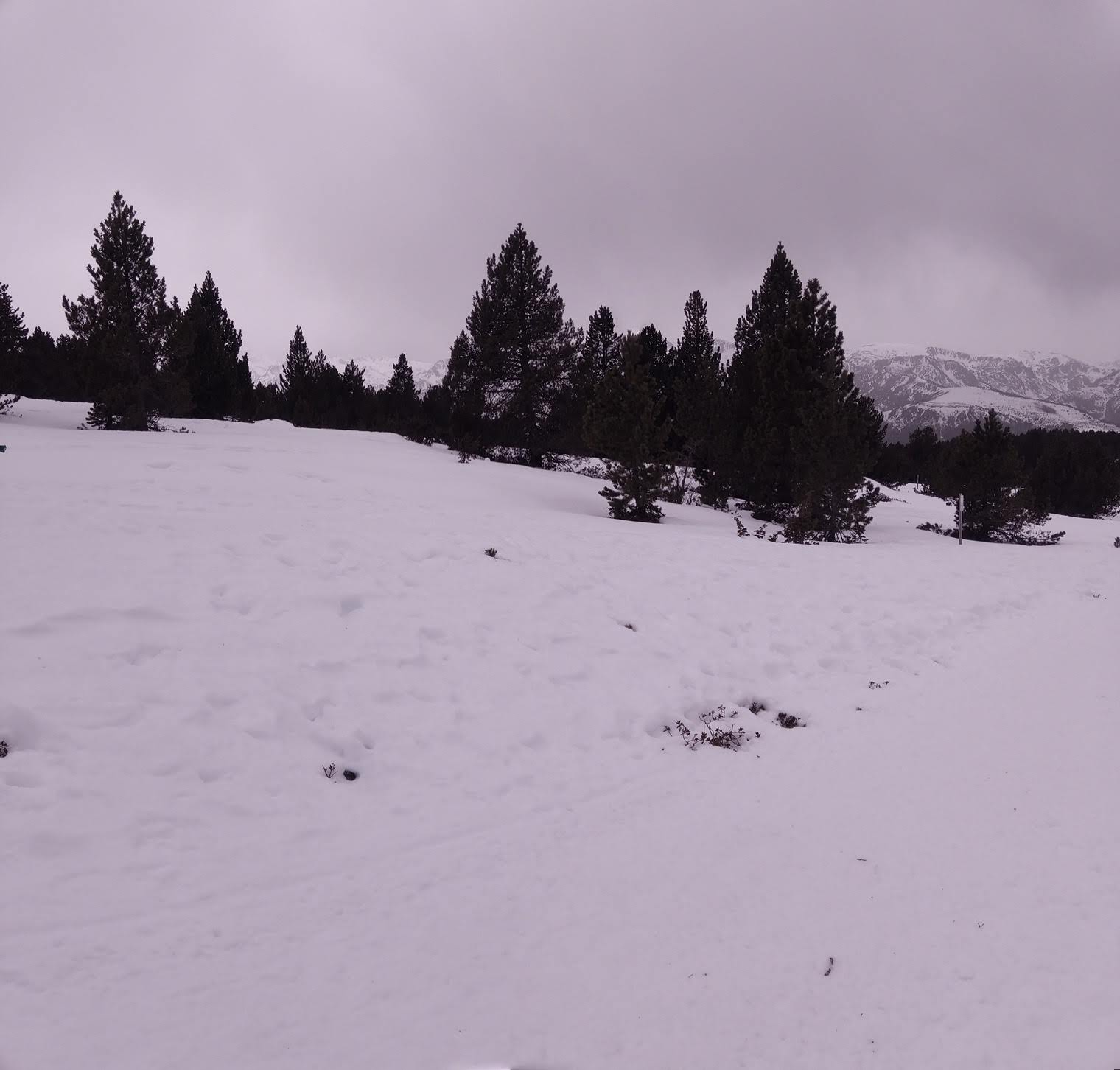 Photo n° 1 de l'avis de Uyttersprot.u fait le 21/02/2023 à 17:04