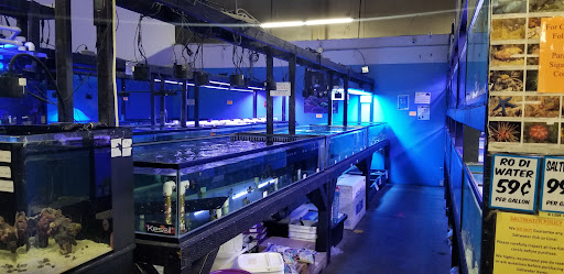 Pet Supply Store «Pet Supreme», reviews and photos, 12823 Foothill Blvd, Sylmar, CA 91342, USA