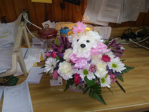 Florist «Chalet Flowers», reviews and photos, 5002 7th St, Zephyrhills, FL 33542, USA